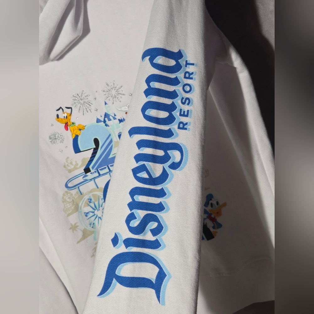 2022 DisneyLand Resort Mickey Mouse and Friends Hoodie Size L Embroidered - Picture 3 of 11
